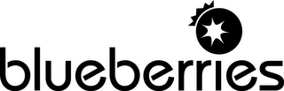 BLUEBERRIES logo