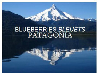 BLUEBERRIES BLEUETS PATAGONIA logo
