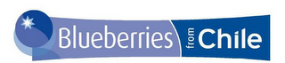 BLUEBERRIES FROM CHILE logo