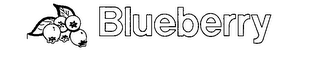 BLUEBERRY logo