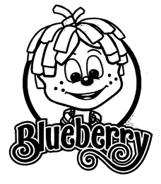 BLUEBERRY logo