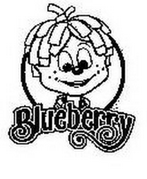 BLUEBERRY logo