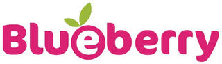BLUEBERRY logo
