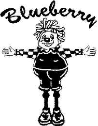 BLUEBERRY logo