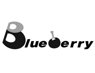 BLUEBERRY logo