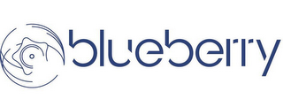 BLUEBERRY logo