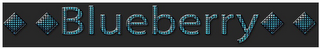 BLUEBERRY logo
