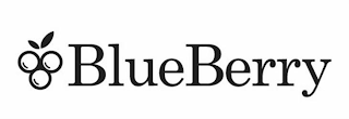BLUEBERRY logo
