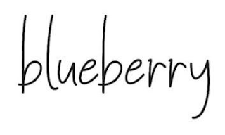 BLUEBERRY logo