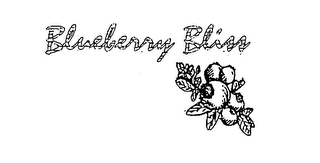 BLUEBERRY BLISS logo