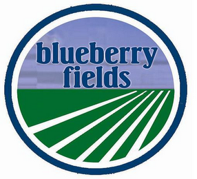 BLUEBERRY FIELDS logo