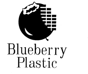 BLUEBERRY PLASTIC logo