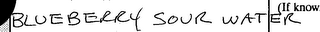 BLUEBERRY SOUR WATER logo