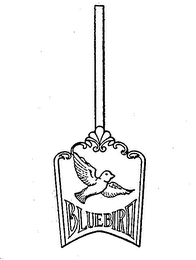 BLUEBIRD logo