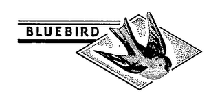 BLUEBIRD
