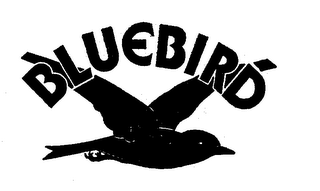 BLUEBIRD