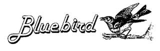 BLUEBIRD logo