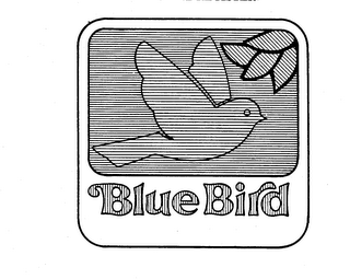 BLUEBIRD logo