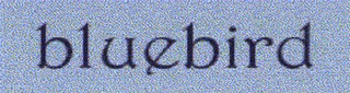 BLUEBIRD logo