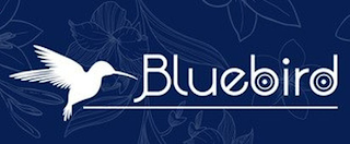 BLUEBIRD logo