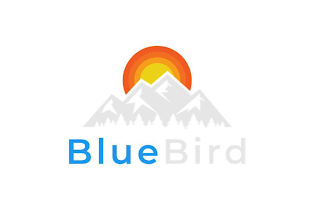 BLUEBIRD logo