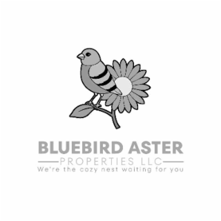 BLUEBIRD ASTER PROPERTIES LLC WE'RE THE COZY NEST WAITING FOR YOU logo