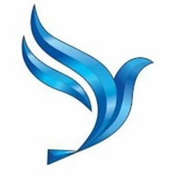 BLUEBIRD EXPRESS CAR WASH logo