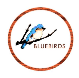 BLUEBIRDS logo