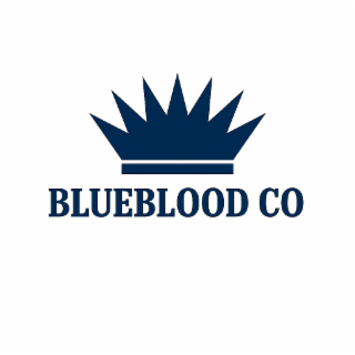 BLUEBLOOD CO logo