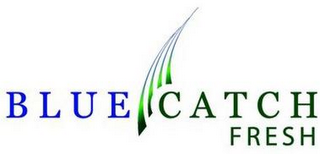 BLUECATCH FRESH logo