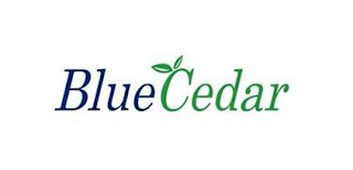 BLUECEDAR logo
