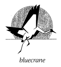 BLUECRANE logo