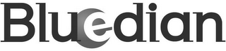 BLUEDIAN logo
