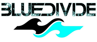 BLUEDIVIDE logo