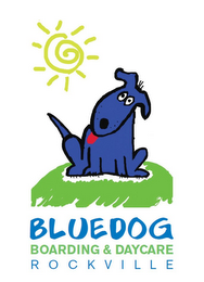 BLUEDOG BOARDING & DAYCARE ROCKVILLE logo