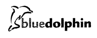 BLUEDOLPHIN logo