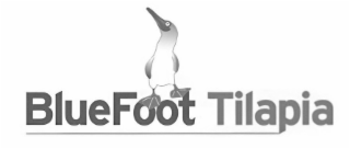 BLUEFOOT TILAPIA logo