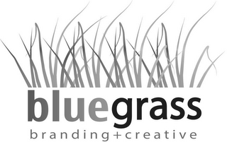 BLUEGRASS BRANDING + CREATIVE logo