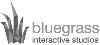BLUEGRASS INTERACTIVE STUDIOS logo