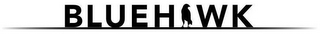 BLUEHAWK logo