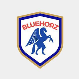 BLUEHORZ logo