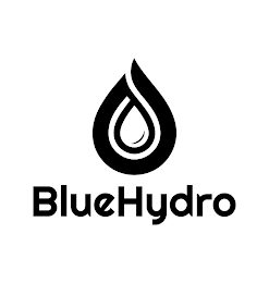 BLUEHYDRO logo