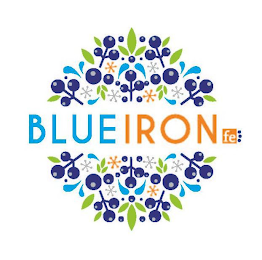 BLUEIRON FE logo