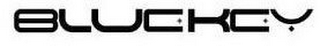 BLUEKEY logo