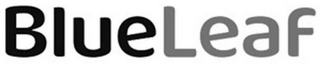BLUELEAF logo