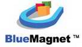 BLUEMAGNET logo