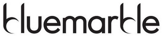 BLUEMARBLE logo