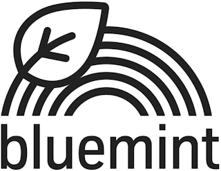 BLUEMINT logo