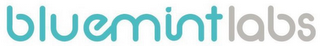 BLUEMINTLABS logo
