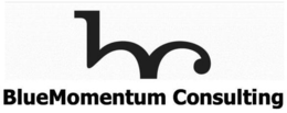 BLUEMOMENTUM CONSULTING logo